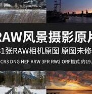 最标准足球即时比分网-揭秘最标准足球即时比分网，球迷必备的实时数据利器